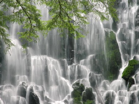Waterfall DreamScene Video